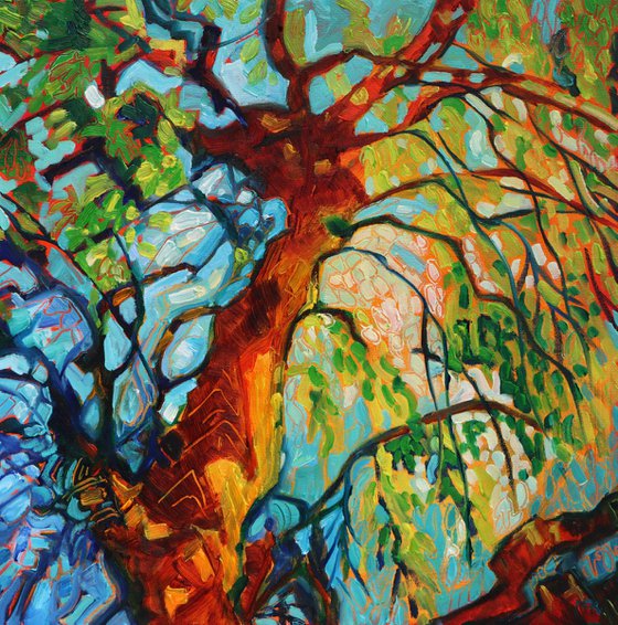 Tree Canopy