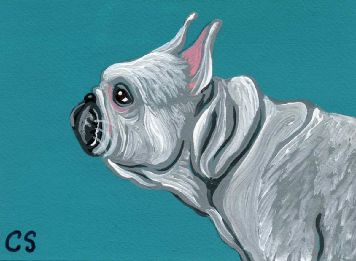 ACEO ATC Original Miniature Painting White French Bulldog Pet Dog Art-Carla Smale by carla smale