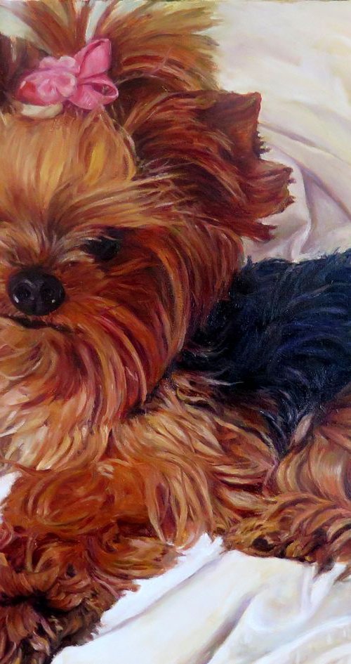 Commission Portrait of A Little Dog by QI Debrah