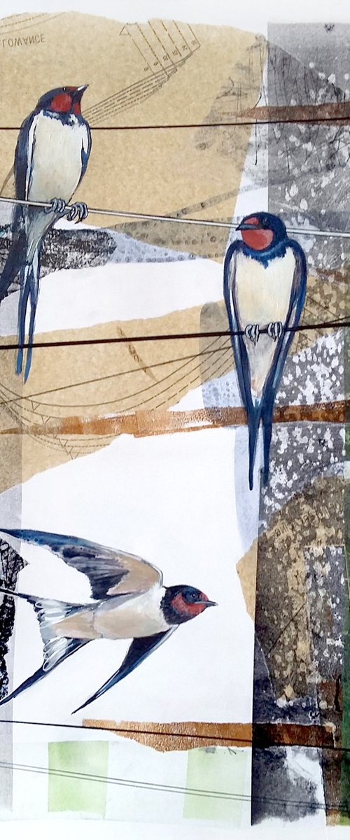Heralds of Summer (swallows painting) by Carolynne Coulson