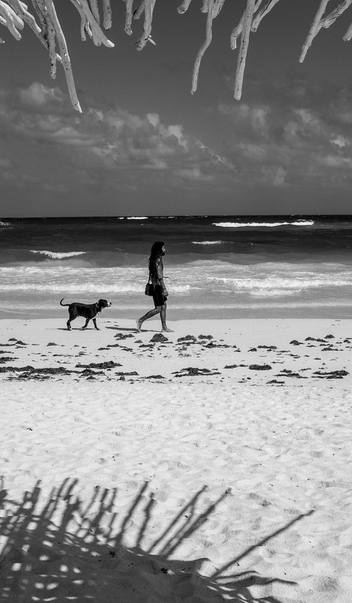 One Man and his Dog  - Tulum Mexico by Stephen Hodgetts Photography