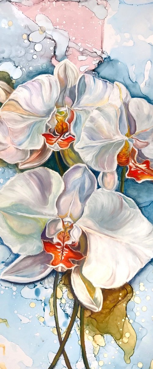 The White Orchid Symphony by Olga Volna