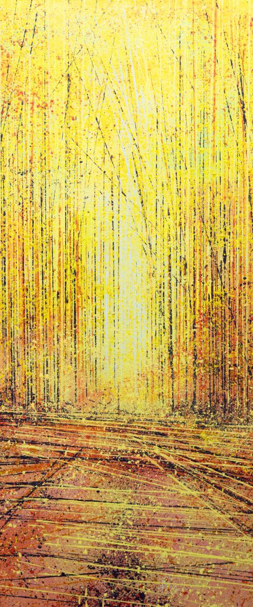 Warm Yellow Light Through Trees by Marc Todd