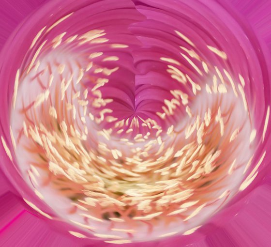 swirling shapes in pink vortex