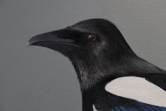 Magpie, Oil Painting, Bird Artwork, Animal Art Origina, Not Print