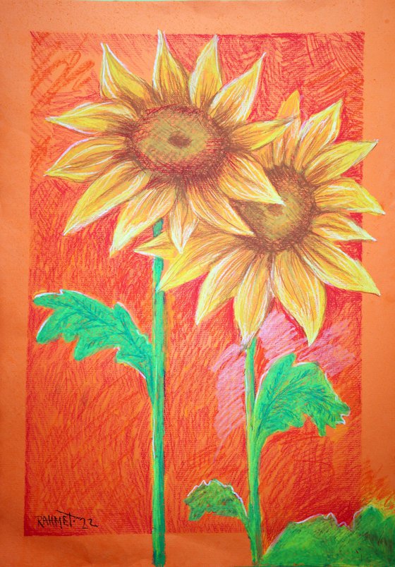 Two Sunflowers