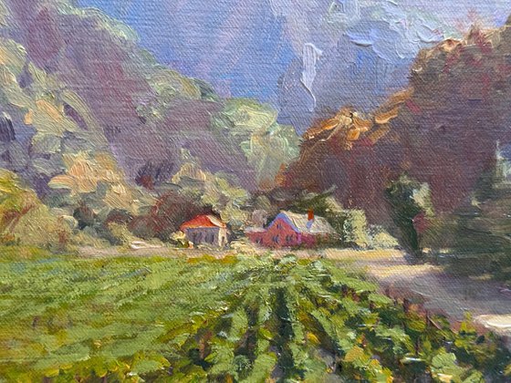 California Foothills Vineyards