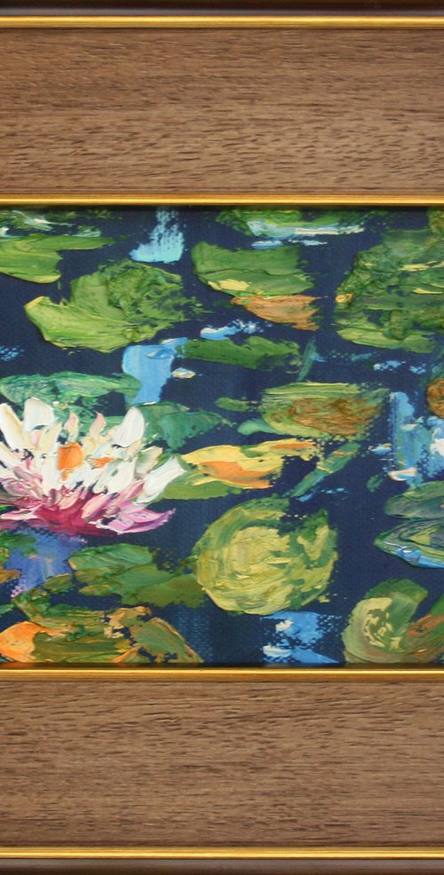 Water lilies  /  famed /  From my a series of mini works LANDSCAPE /  ORIGINAL PAINTING by Salana Art Gallery