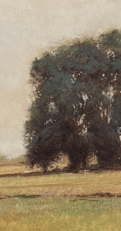 Summer Trees 230213, Tonal landscape and trees impressionist oil painting by Don Bishop