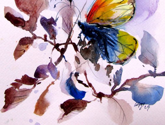 Little butterfly collection