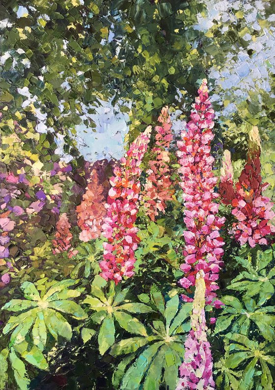 Lupines