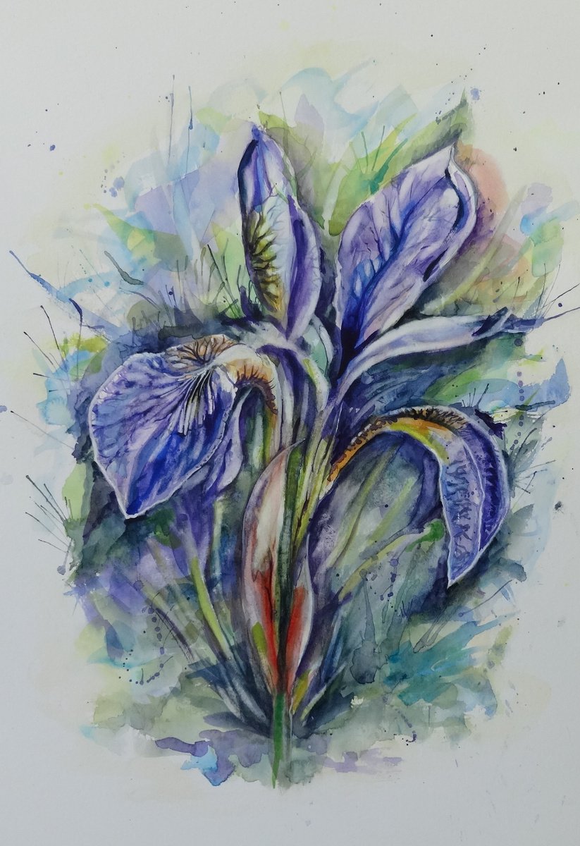 Iris by Mel Davies Original Art
