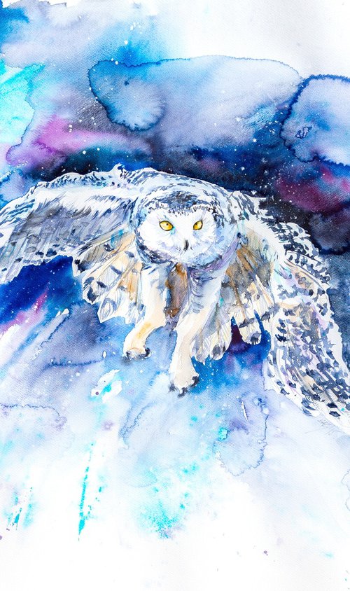 Snowy owl hunting by Kovács Anna Brigitta