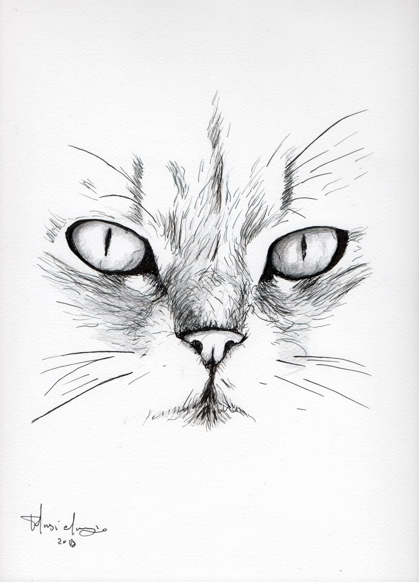 Urban And Pop Ink Drawing , Hungry By Maurizio Puglisi, 9 X 13, Artwork For Sale On Artfinder