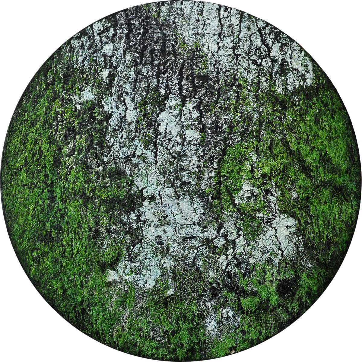 Photorealistic Landscape Painting By Karin Vermeer, 47 X 47", Corteccia Di Albero, Original Artwork