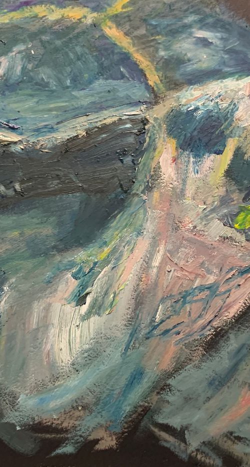 Tortoise by Ryan  Louder