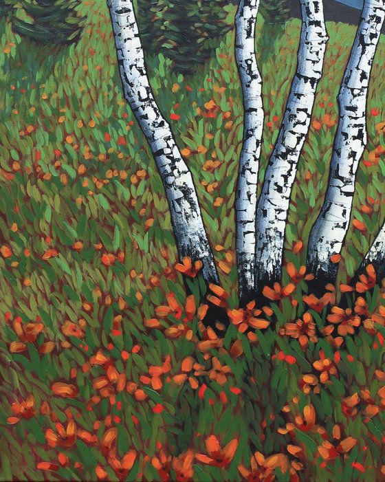 Birch Meadow