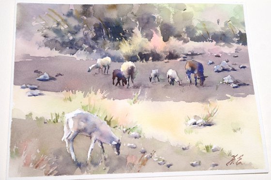 Cretan sheep Watercolor Small version