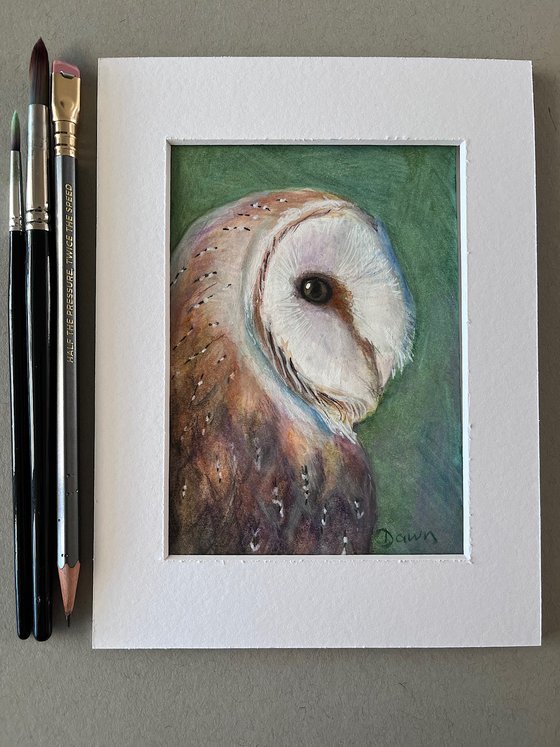 Gentle Wisdom (Barn Owl)