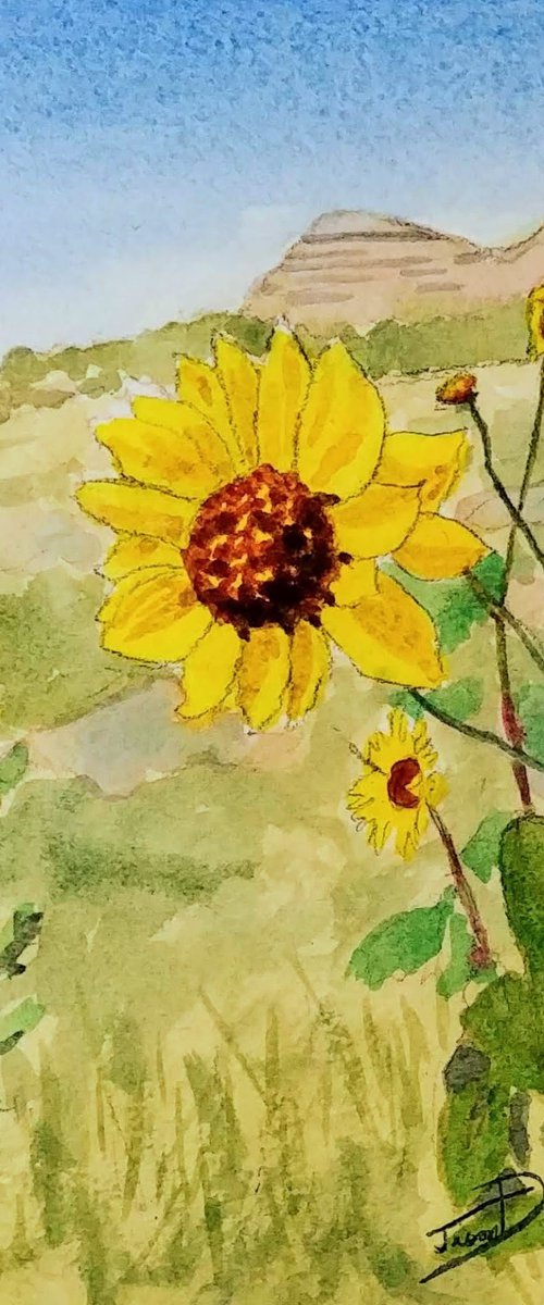 Wild Sunflowers by Jason Edward Doucette