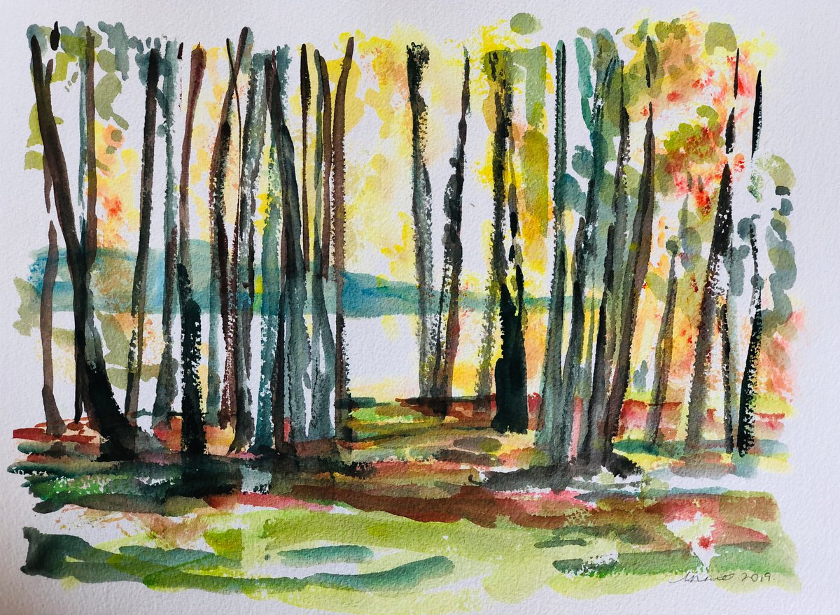 Birch woodland scene by Annie Meier