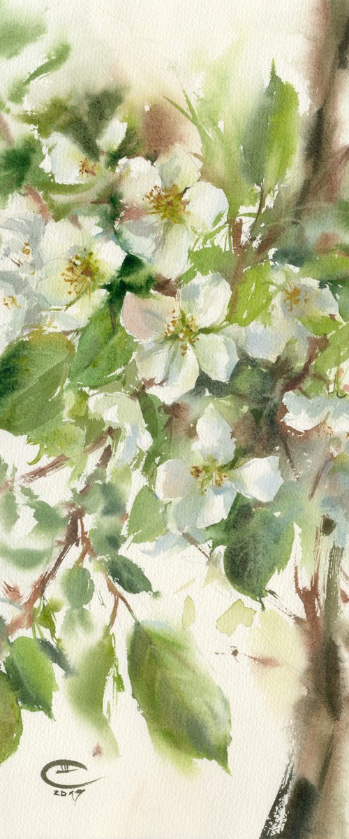 Wild apple tree. Apple blossoms. by Tatyana Tokareva