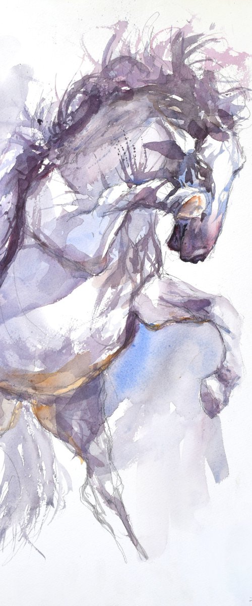 Prancing horse -Lpz03 by Goran Žigolić Watercolors