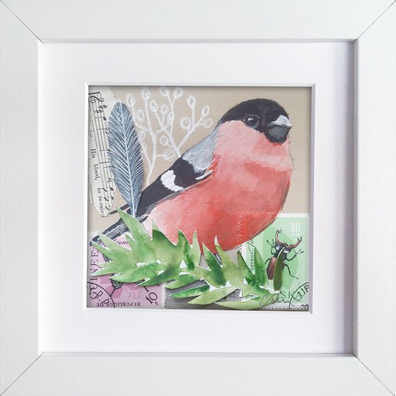 The Bullfinch feather  (framed and ready to hang)