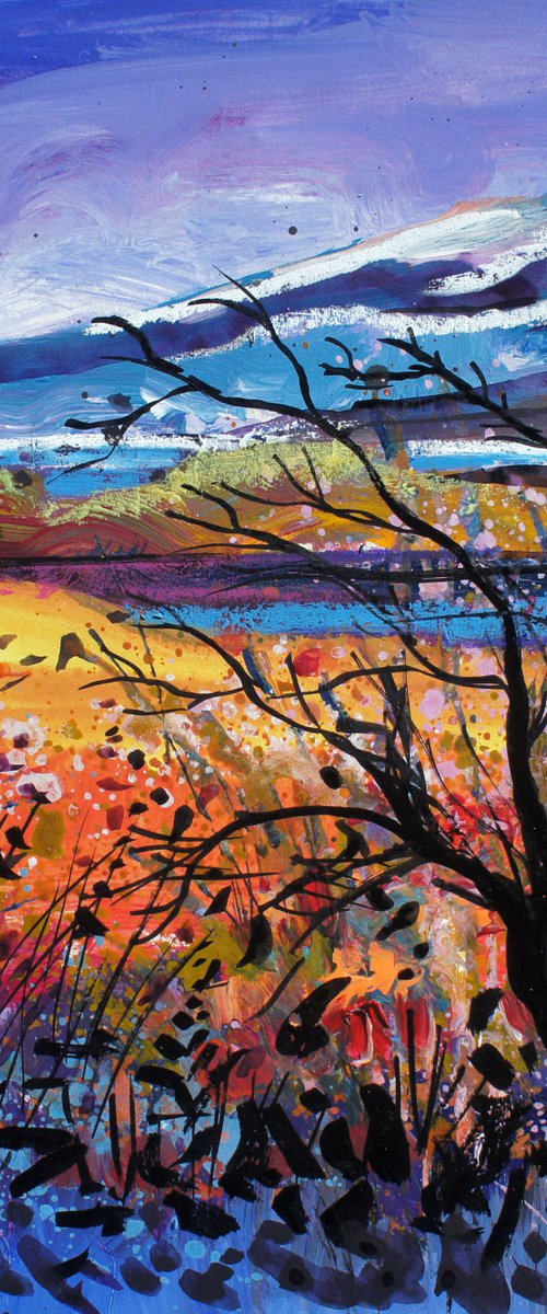Winters Glow in the Highlands of Scotland by Julia  Rigby