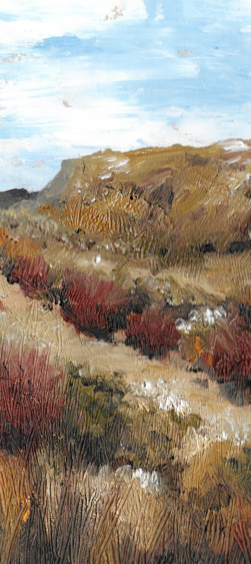 Arizona / Open Land by Gozde Temiz Istanbul