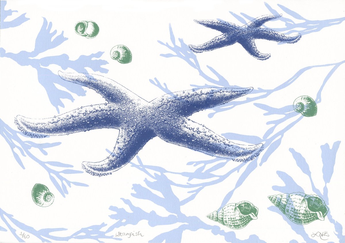 Illustrative Animal Screenprint By Louise Boulton, 11 X 8", Starfish, Original Artwork