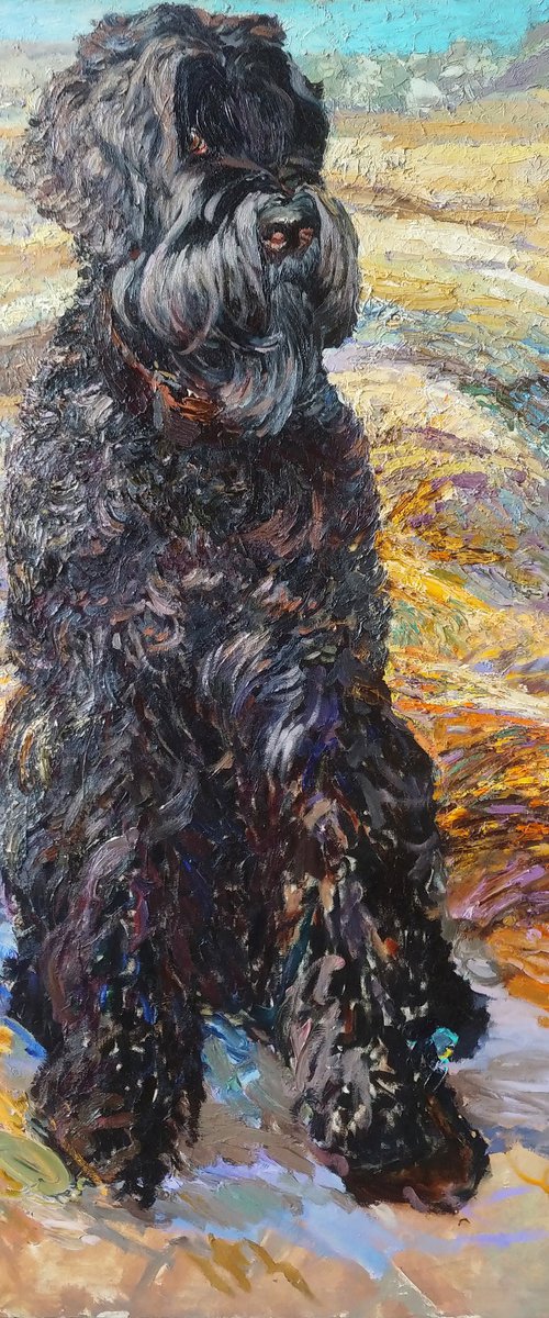 Kitty by Svitlana Koval