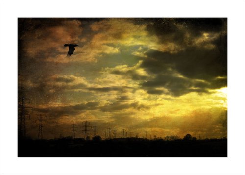 Sunset & Pylons by Martin  Fry