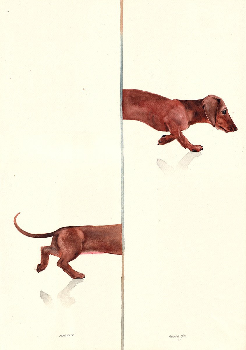 Dachshund (Sausage Dog) by REME Jr.