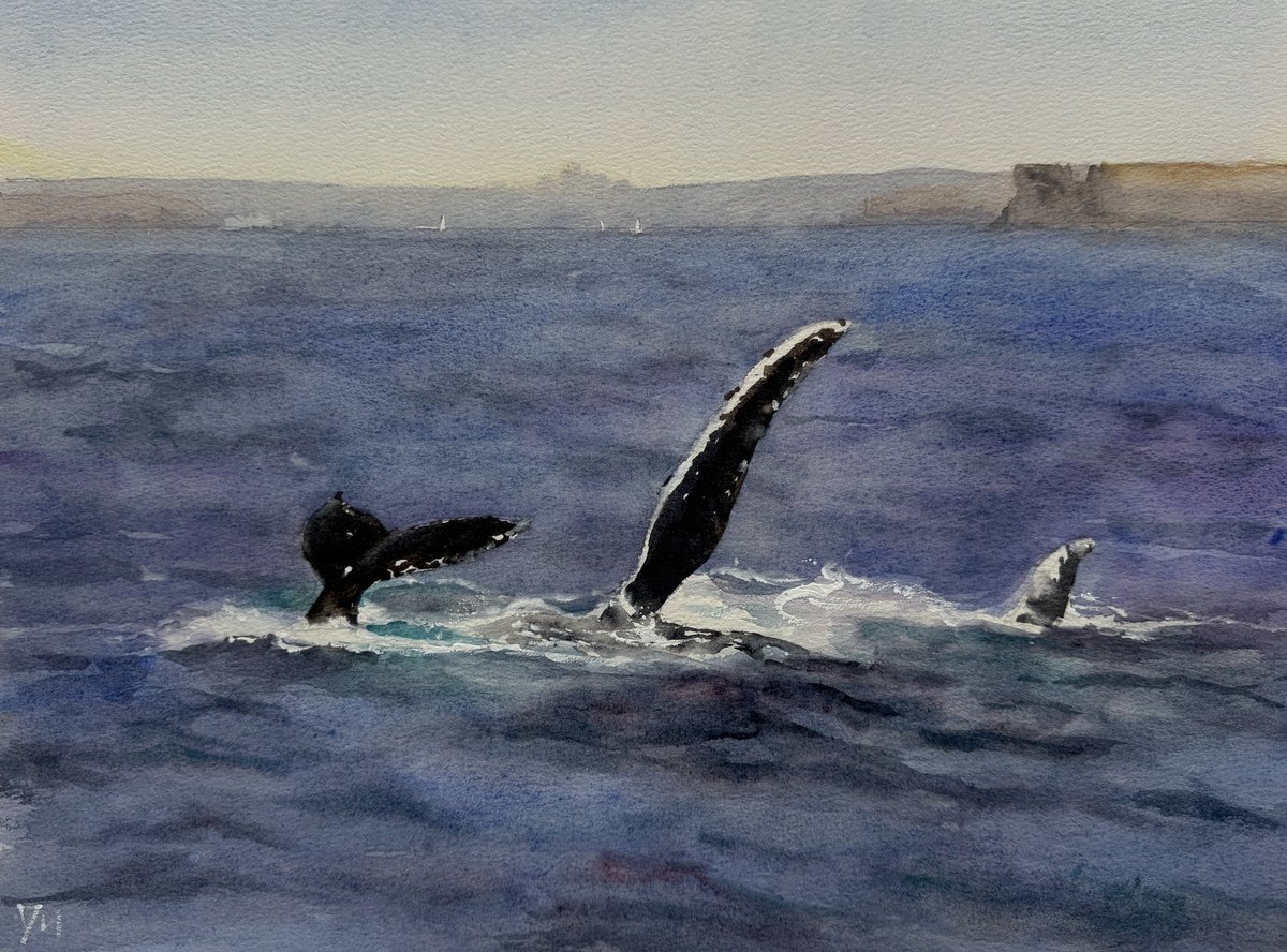 Impressionistic Animal Watercolour By Shelly Du, 16 X 12", Hello Whale, Original Artwork