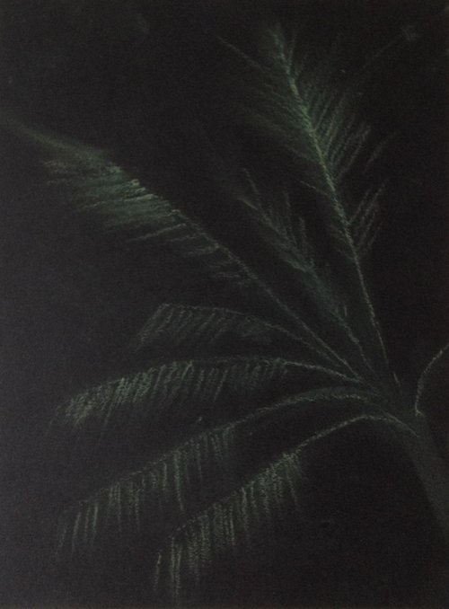 Night Time Palms, Bali 4 by David Lloyd