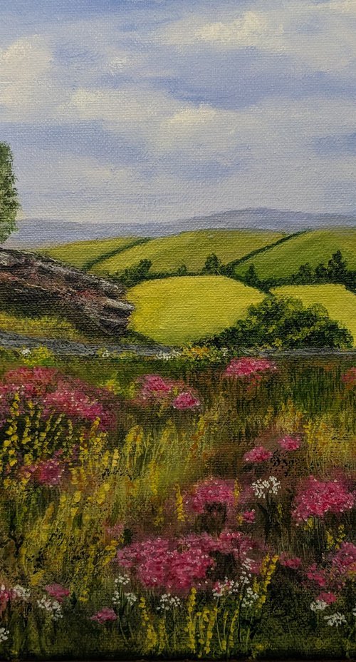 Curbar Edge, Peak District by Anne-Marie Ellis