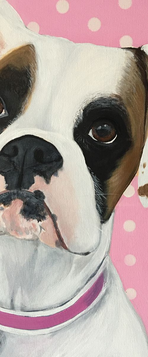 MAISIE - THE BOXER by ELAINE ASKEW