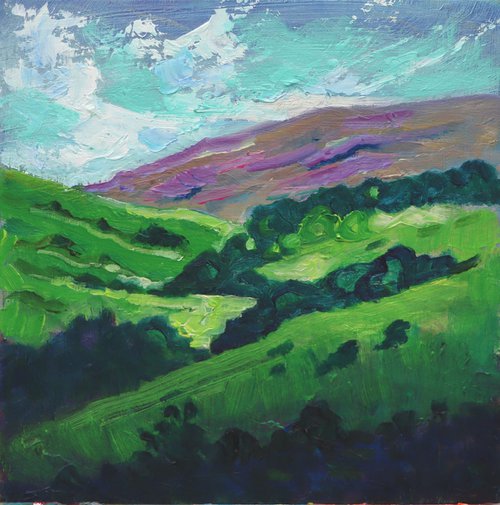 Landscape for Walking, Yorkshire by Mary Kemp