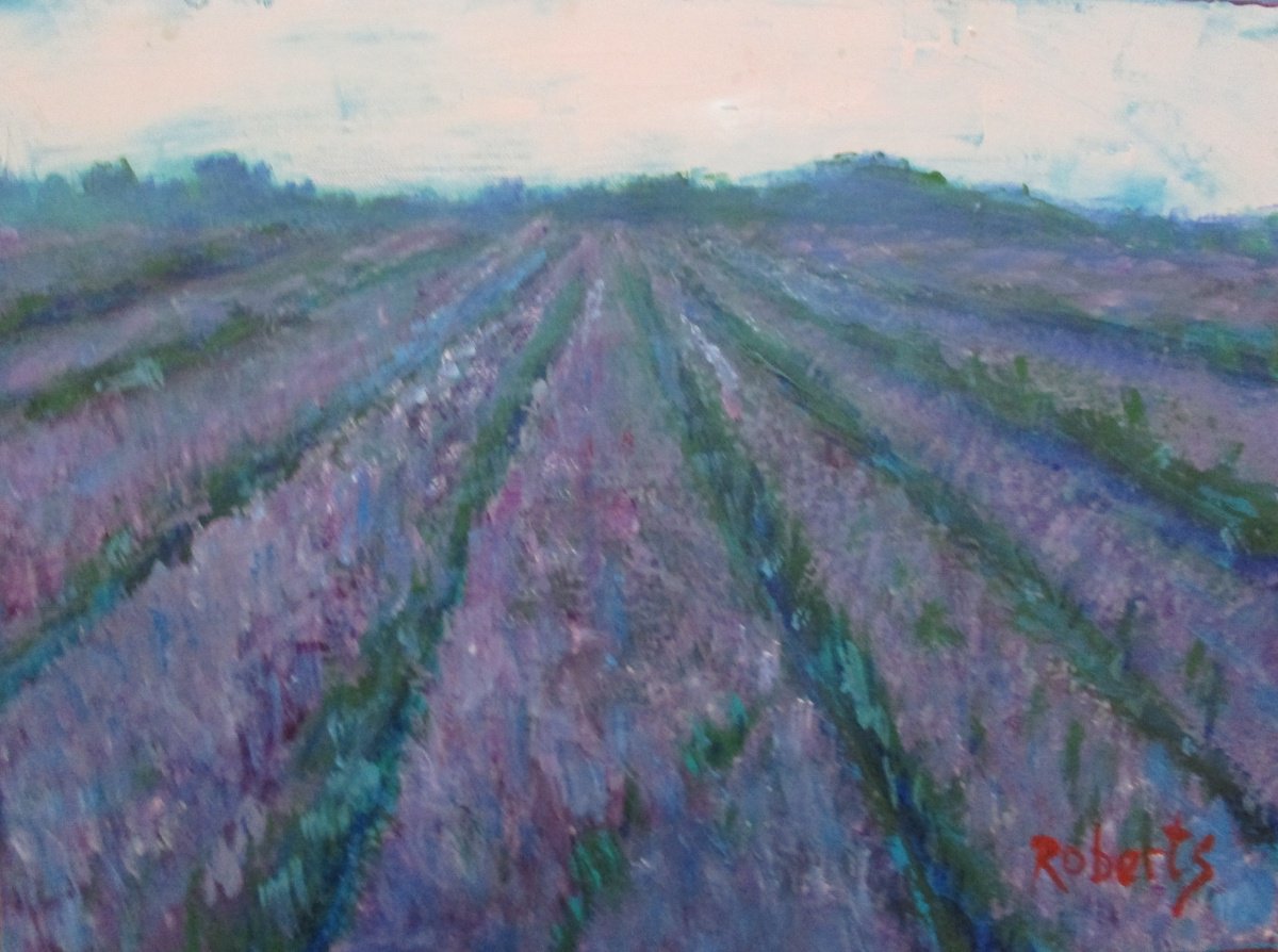 Impressionistic Landscape Oil Painting By Rosalind Roberts, 16 X 12", Lavender Fields Forever, Original Artwork