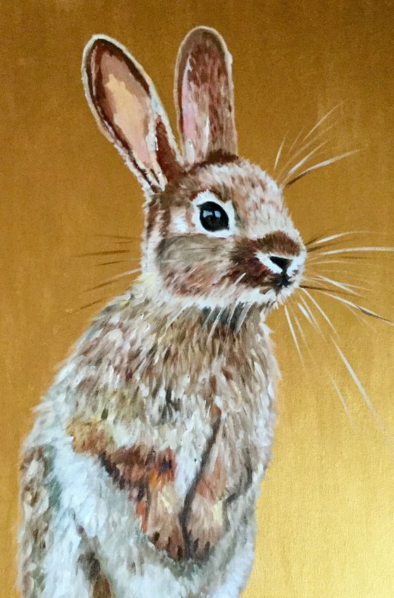 Honey bunny 5