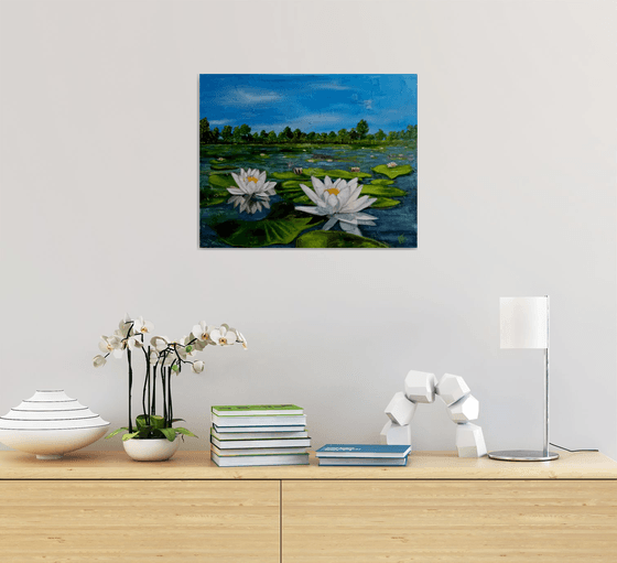Water Lilies in  Pond