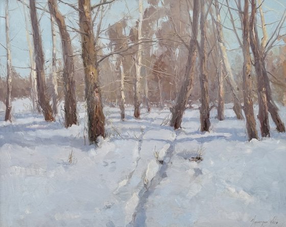 Snow Covered
