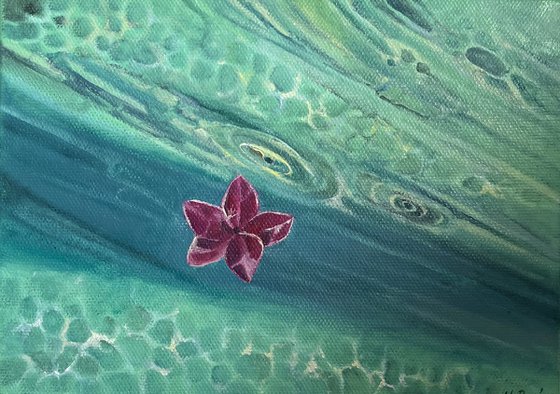 Hibiscus Turquoise Water Mini