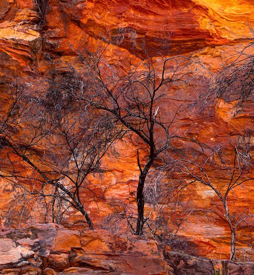 Red Rock Canyon by Nick Psomiadis