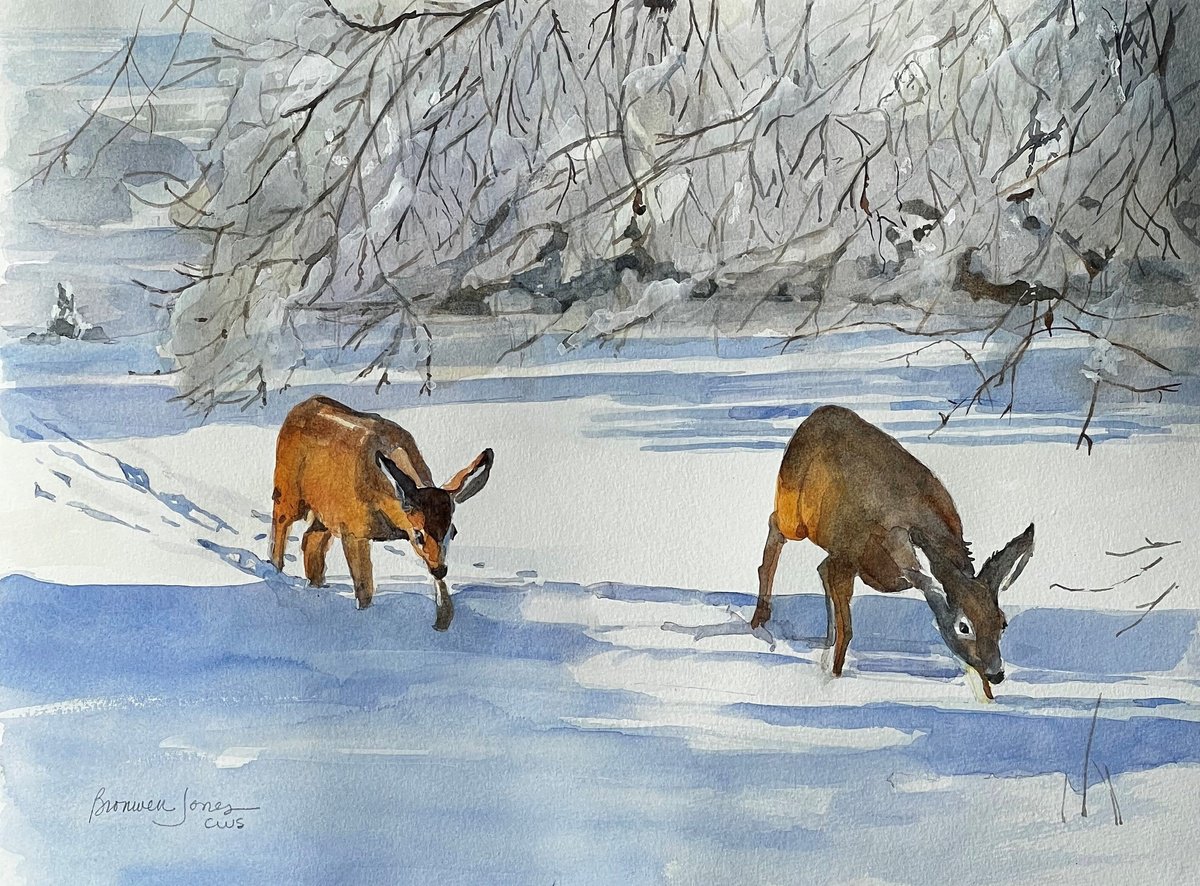 Impressionistic Watercolour , Backyard Visitor By Bronwen Jones, 15 X 12, Artwork For Sale On Artfinder