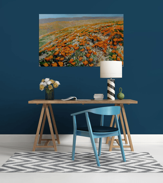 California Poppies