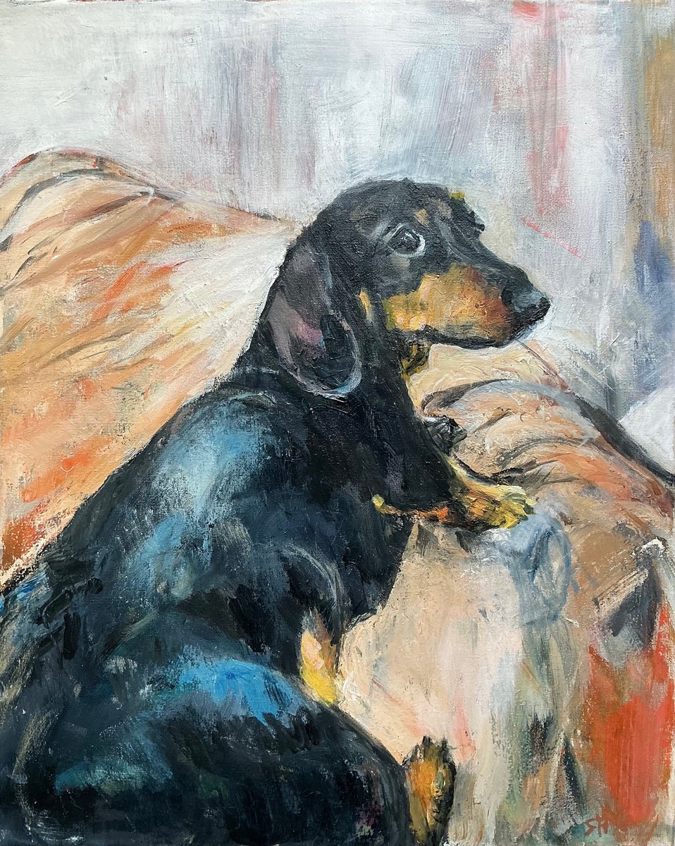 Dachshund Portrait By Sandra Haney, 16 X 20, Artwork For Sale On Artfinder