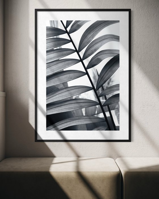 Between Fronds