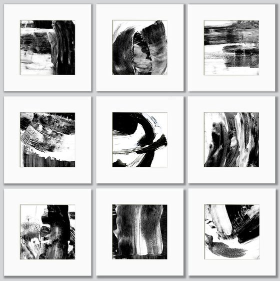 Brush Dance Collection 24